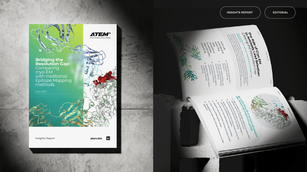 Artboard 55 copy 9