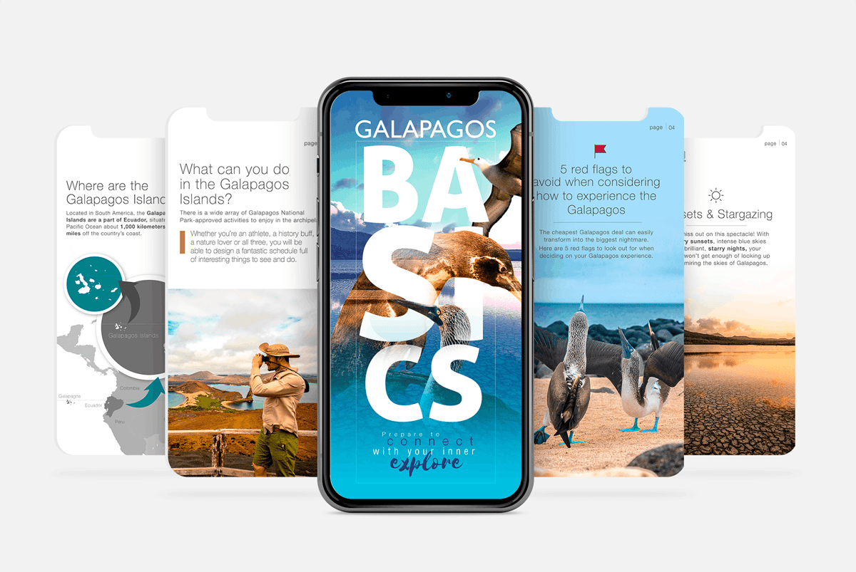 galapagosbasic_portafolio_2